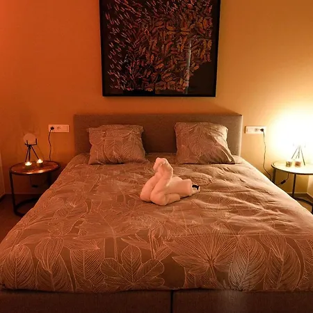 Suitedreams - Sky - Lutych