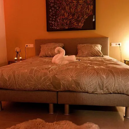 Suitedreams - Sky - Liege