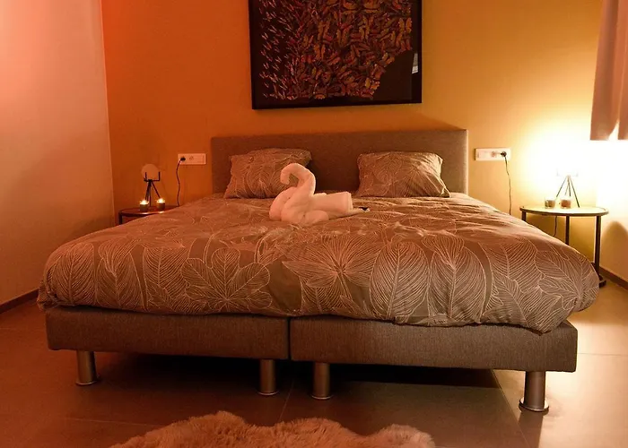 Suitedreams - Sky - Liegi